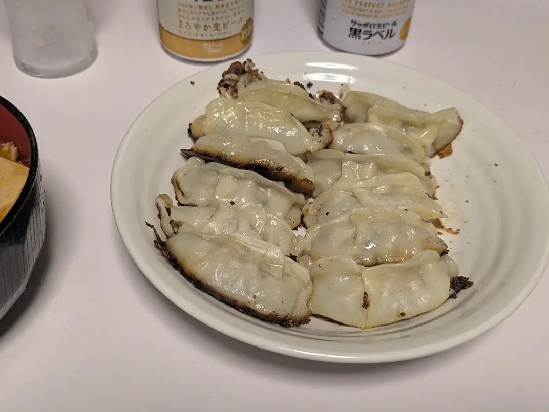 焼きすぎて羽どころではなくなった餃子